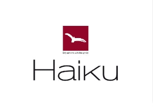 Haiku H11 -800 grit Medium whetstone.