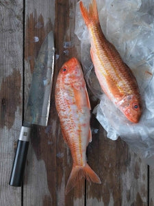 Chroma Haiku Kurouchi Tosa Knives